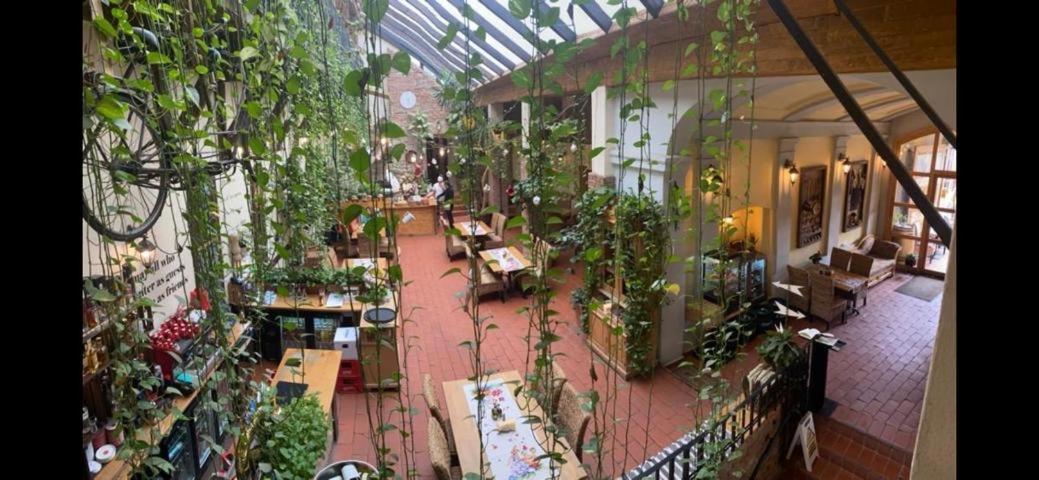 Pensiunea Gasthaus Alte Post Sighişoara Eksteriør billede
